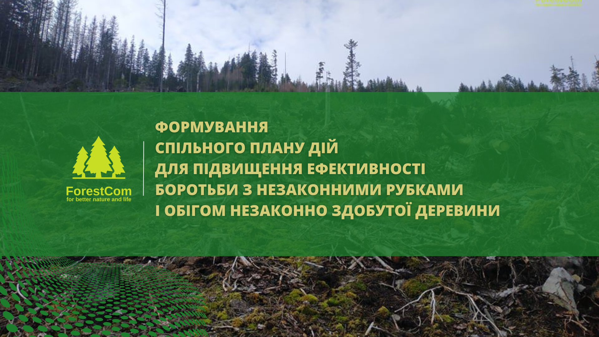 Developing a Joint Action Plan to Enhance the Effectiveness of Combating Illegal Logging