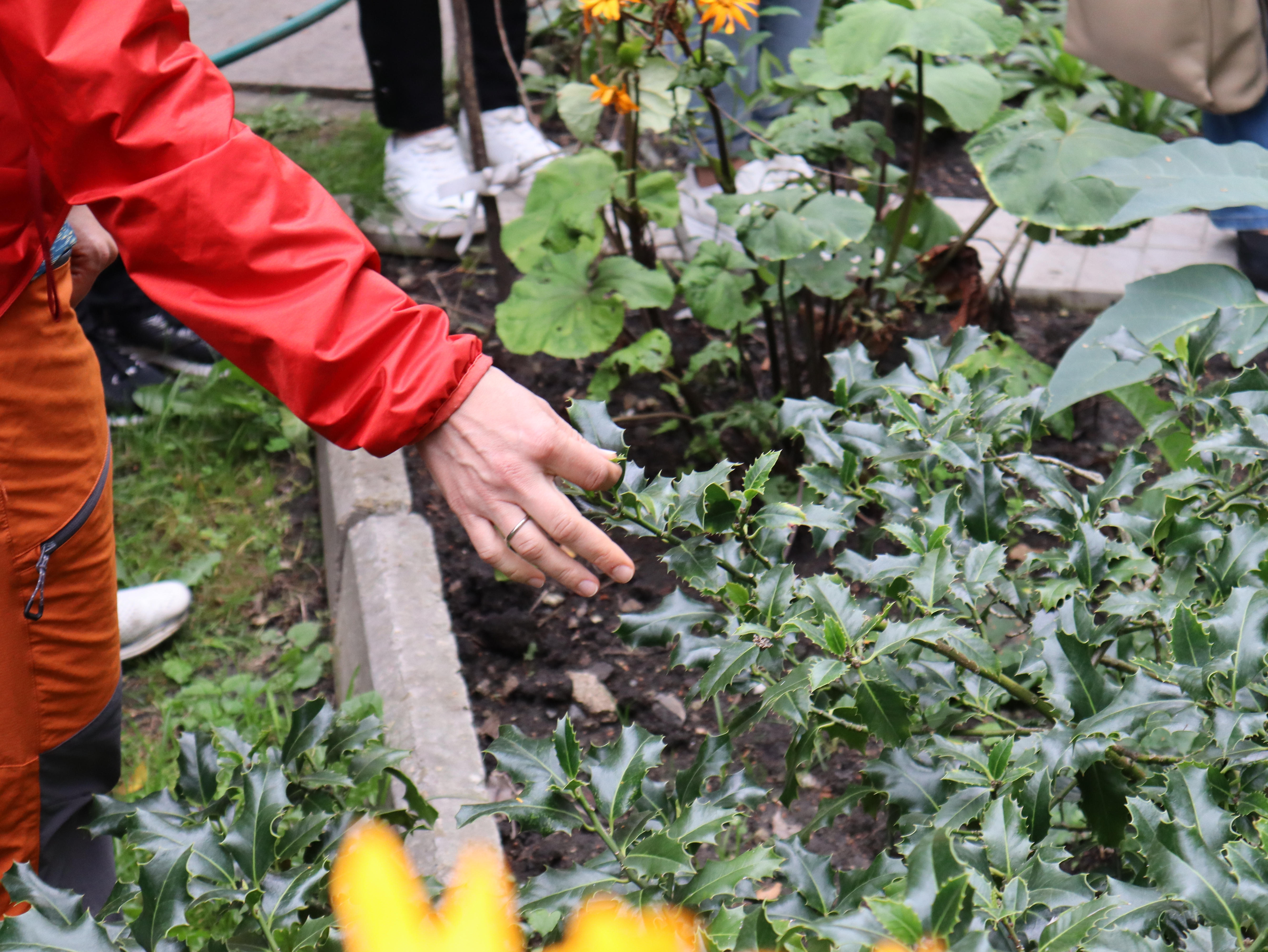 🌿 Зелена мандрівка у Ботанічному саду