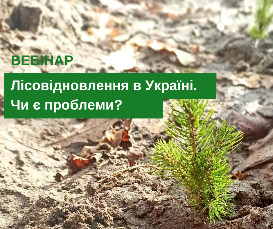 Вебінар "Лісовідновлення в Україні. Чи є проблеми?"