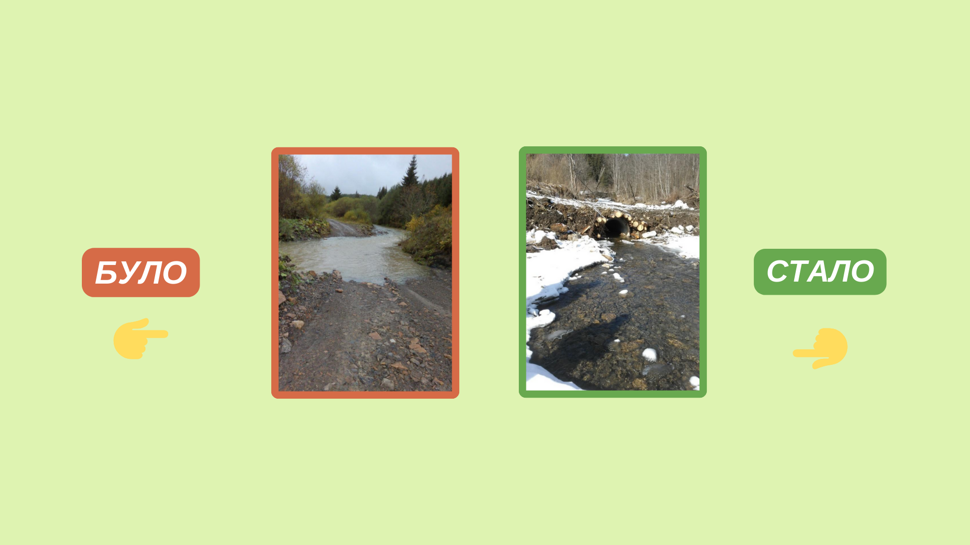 How NGO ForestCom Enhanced the Protection of Mountain Rivers through FSC Engagement and Collaboration with the State Enterprise Forests of Ukraine