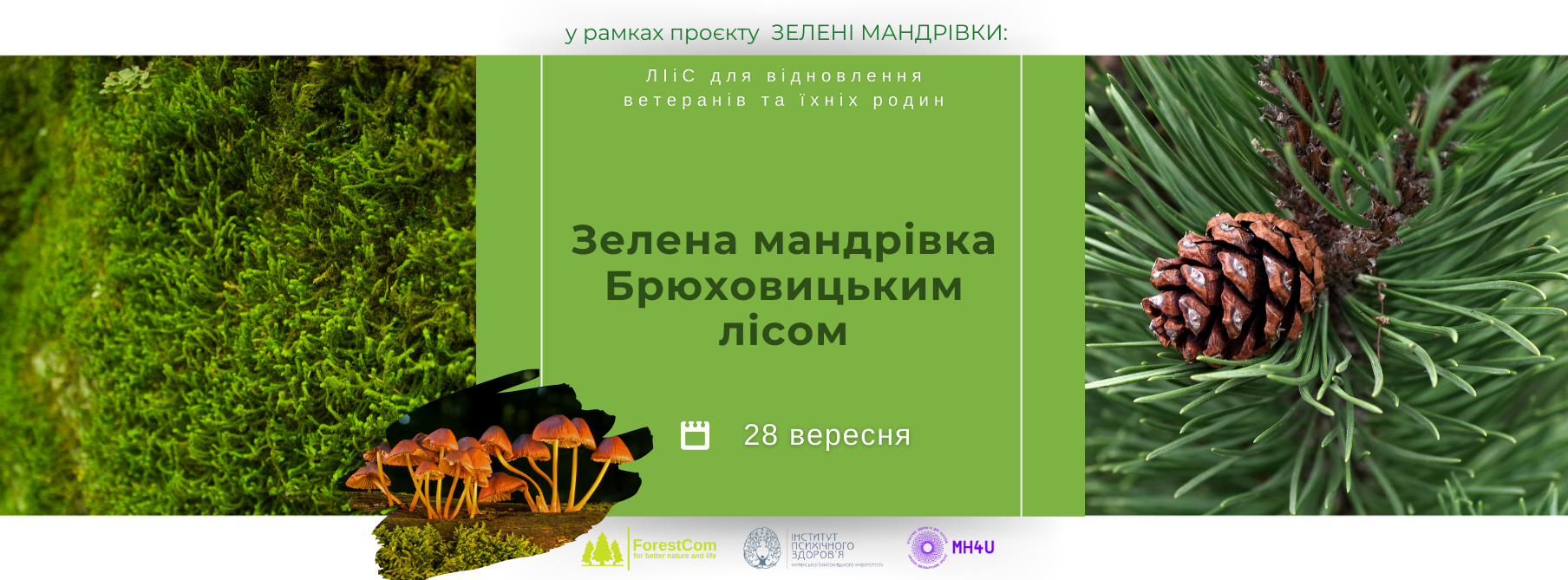 Зелена мандрівка Брюховицьким лісом