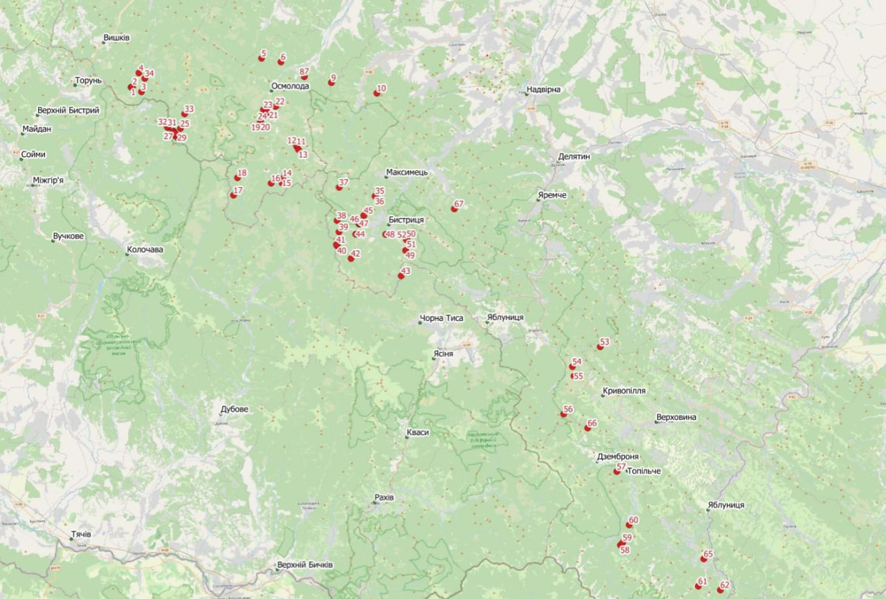 Моніторинг лісів Чернівецької та Івано-Франківської областей за період з 25.08 по 24.10.2024