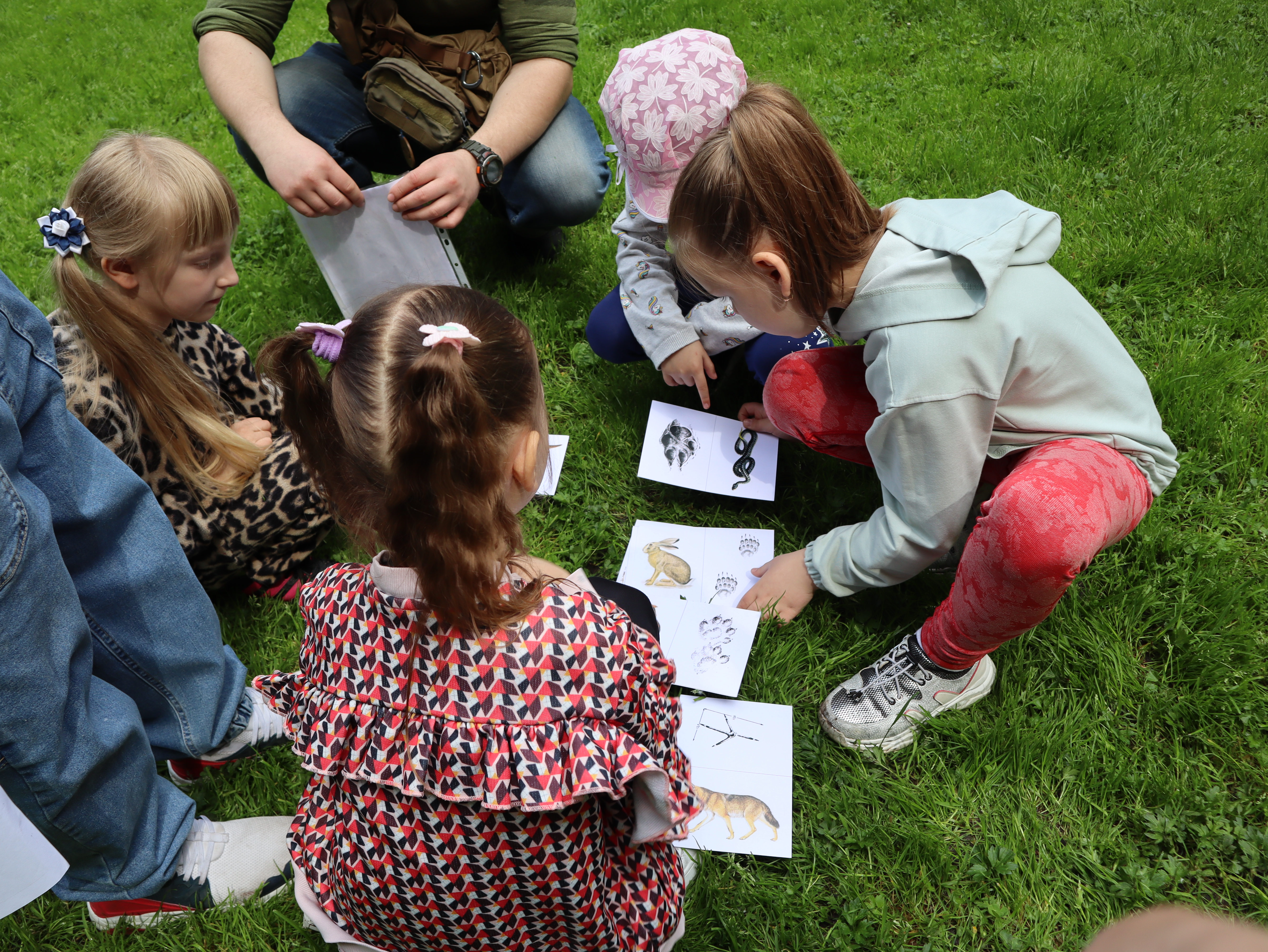 Animal Tracking Adventures