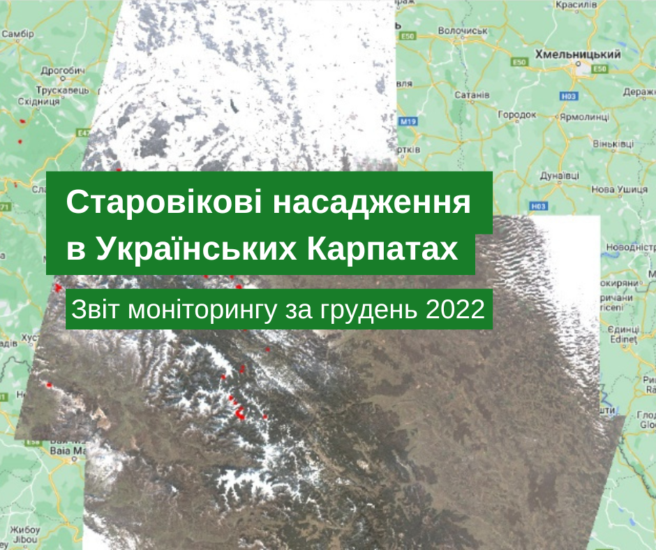 Monitoring report of old growth forests changes in the Ukrainian Carpathians for December 2022