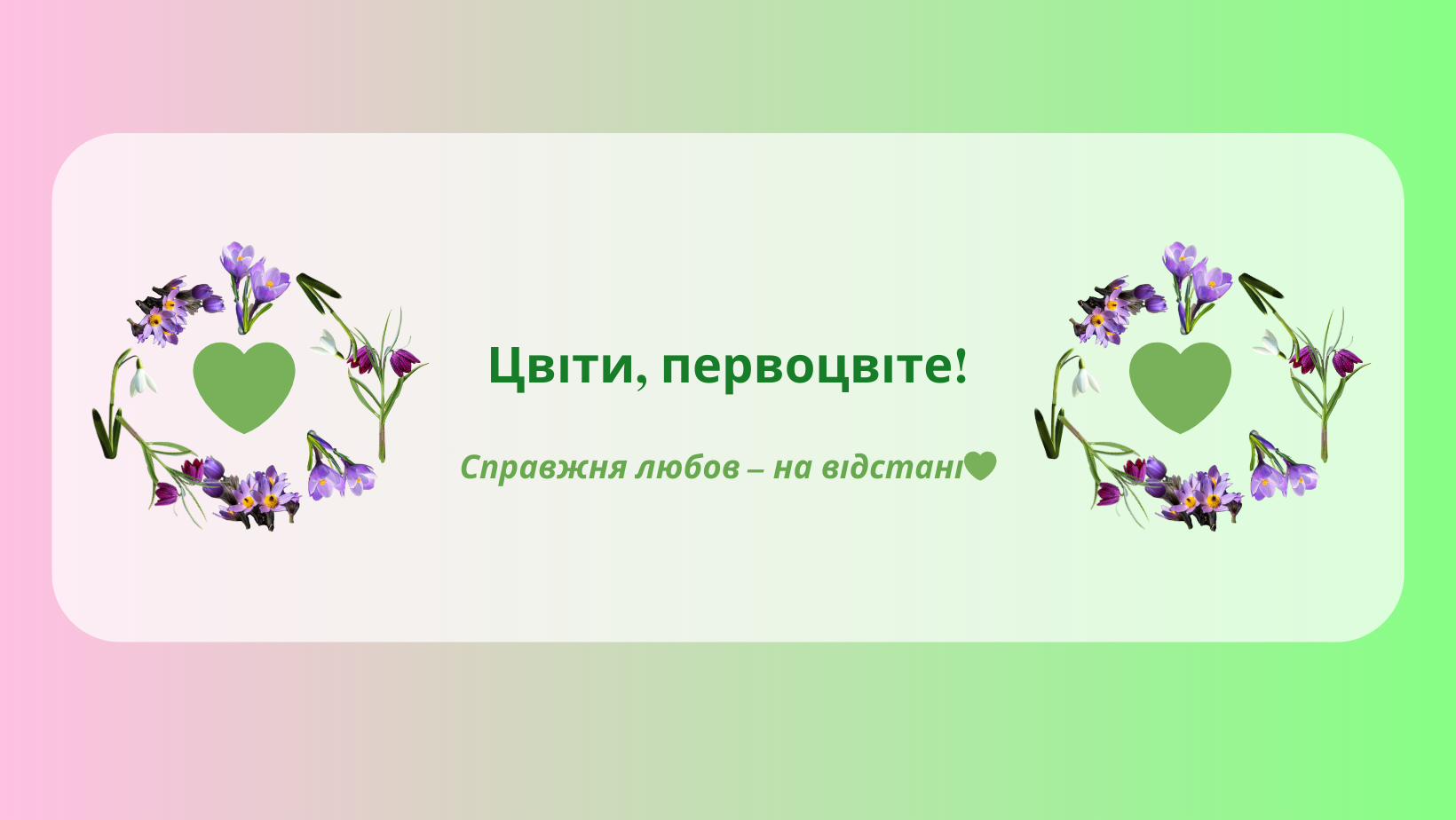 Don't pick spring ephemerals – help protect forest life