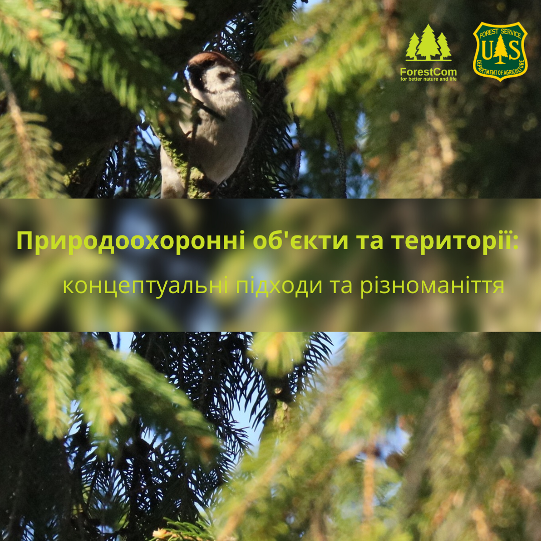 Вебінар "Природоохоронні об'єкти та території: концептуальні підходи та різноманіття"