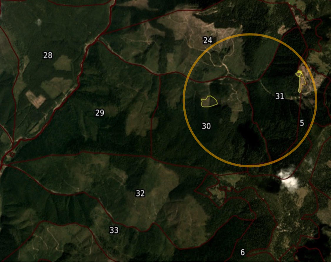 The Stranzul, Zadnya, and Kedryn Locality: A Botanical Reserve Under Threat