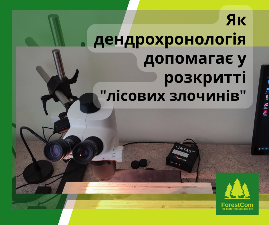 Як дендрохронологія допомагає у розкритті «лісових злочинів»