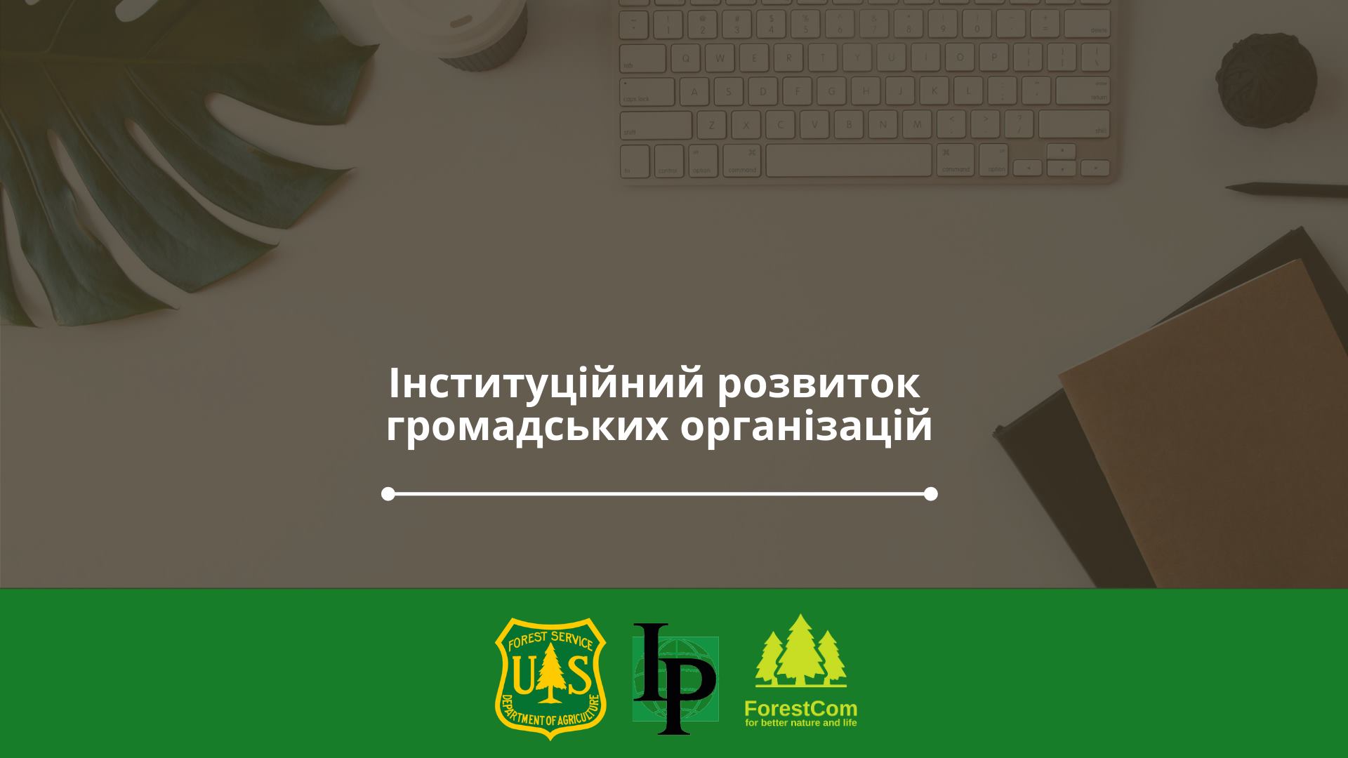 Вебінар "Фінансове управління в ОГС"