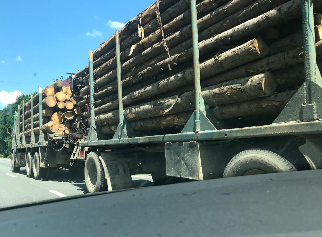 Як громадяни можуть перевірити легальність лісопродукції рухаючись у своєму автомобілі?