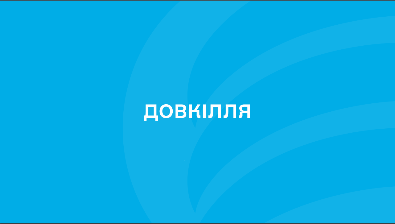 Уряд визнав сучасну систему управління лісовою галуззю неефективною.