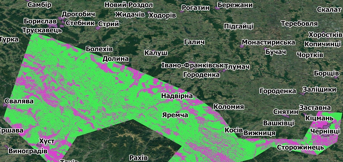 Супутниковий моніторинг пралісів в січні 2021