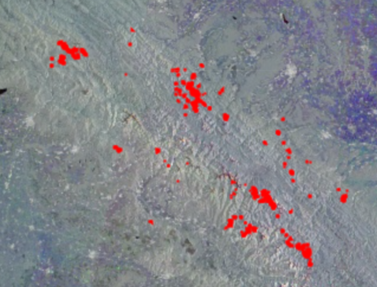 Вебінар "Втрати деревного покриву в Україні за даними Global Forest Watch"