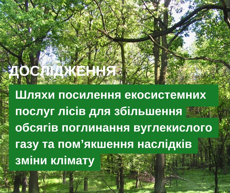 Ways to strengthen the ecosystem services of forests to increase the amount of carbon dioxide absorption and mitigate the climate change effect
