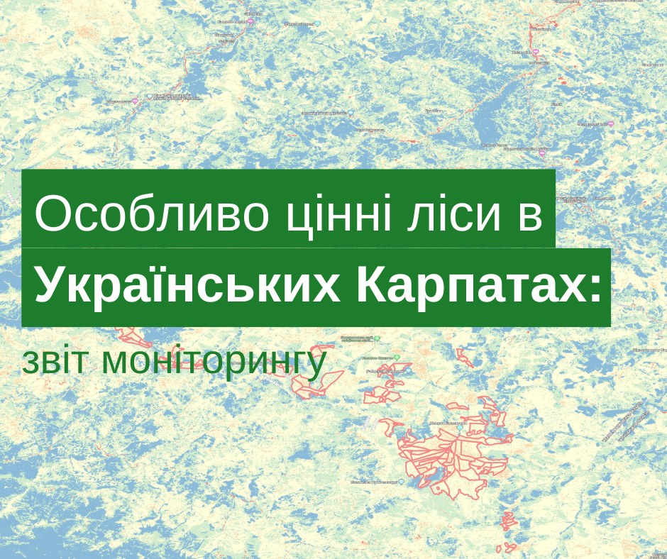 Monitoring report of particularly valuable forests in the Ukrainian Carpathians for August 2022