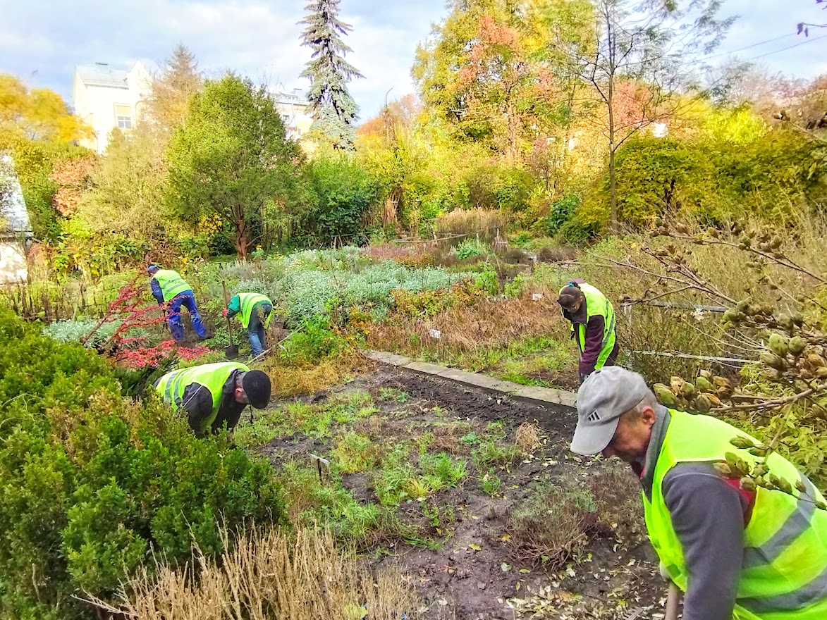 Volunteer event to prepare the medicinal plants of the botsard for wintering