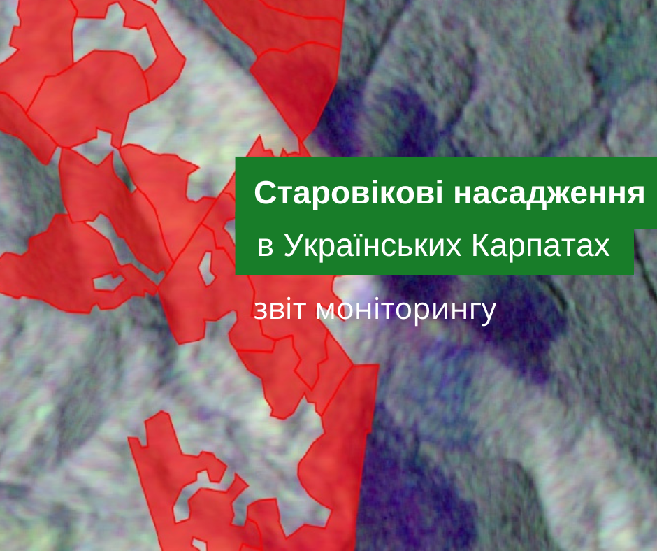 Monitoring report of old growth forests changes in the Ukrainian Carpathians for September 2022