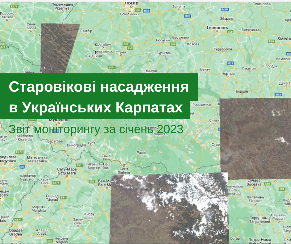 Monitoring report of old growth forests changes in the Ukrainian Carpathians for January 2023