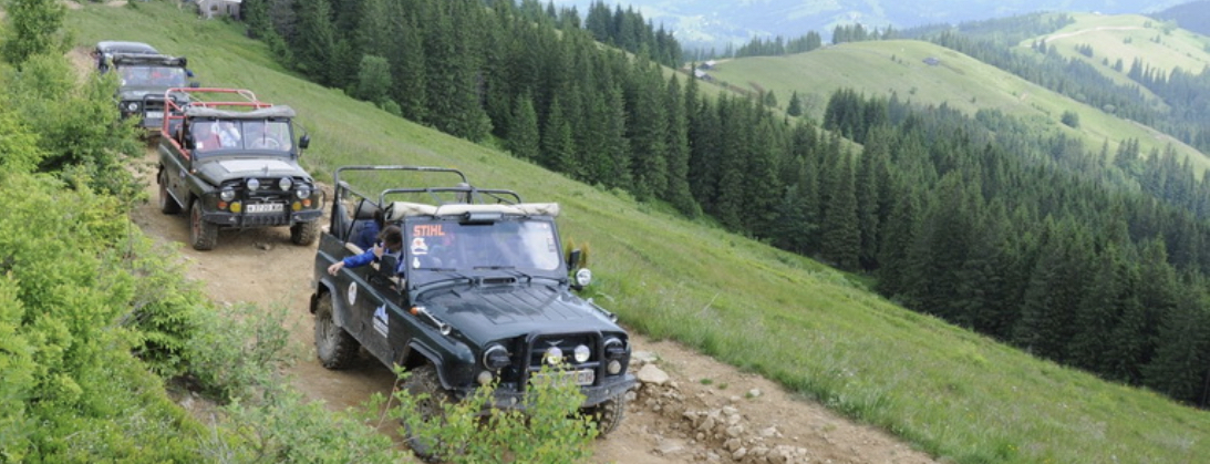 Sign the petition to settle the jeeping - save the forest
