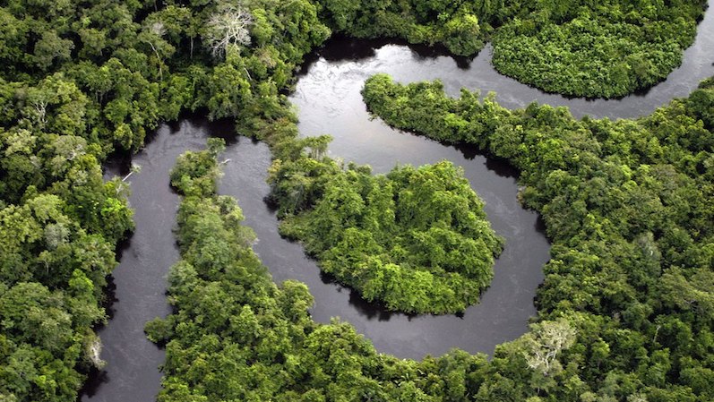 European Parliament increased carbon sink ambitions in land and forest use
