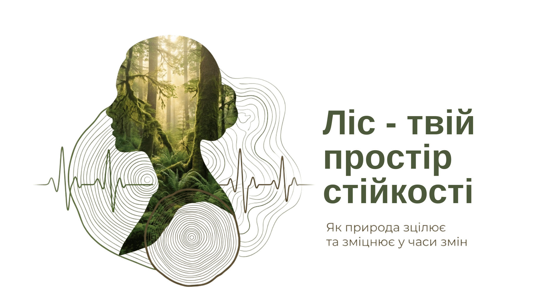 Ліс – твій простір стійкості: як природа зцілює та зміцнює у часи змін
