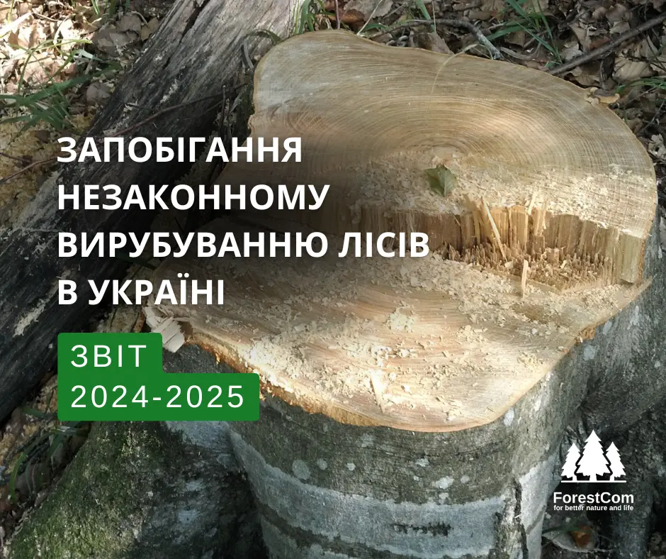 NGO ForestCom Uncovers UAH 6.4 Million in Forestry Violations from 2024-2025: Comprehensive Forest Monitoring Report