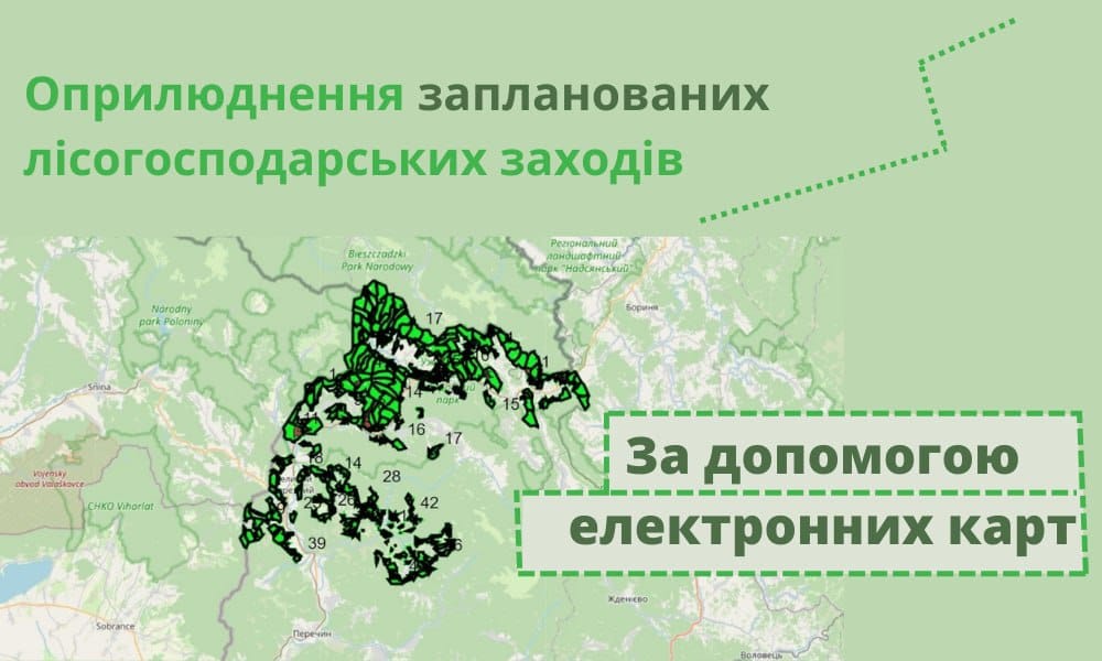 Webinar "publication of planned forestry activities by means of electronic maps”