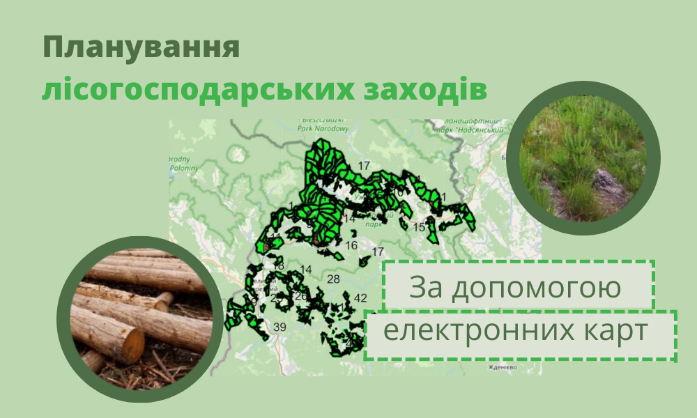 Webinar "Planning forestry activities using electronic maps"