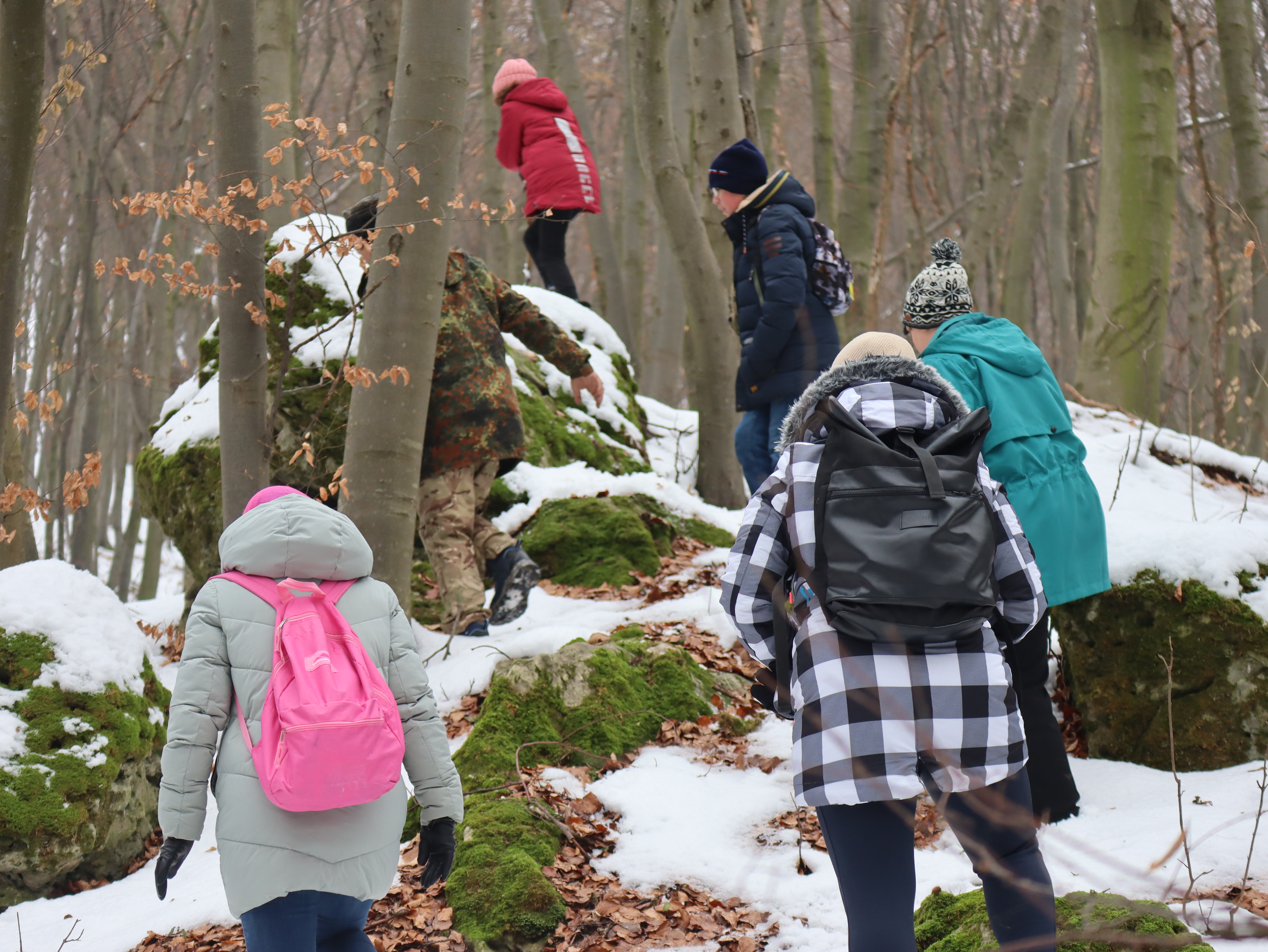 Forest therapy took place in Zolochiv district