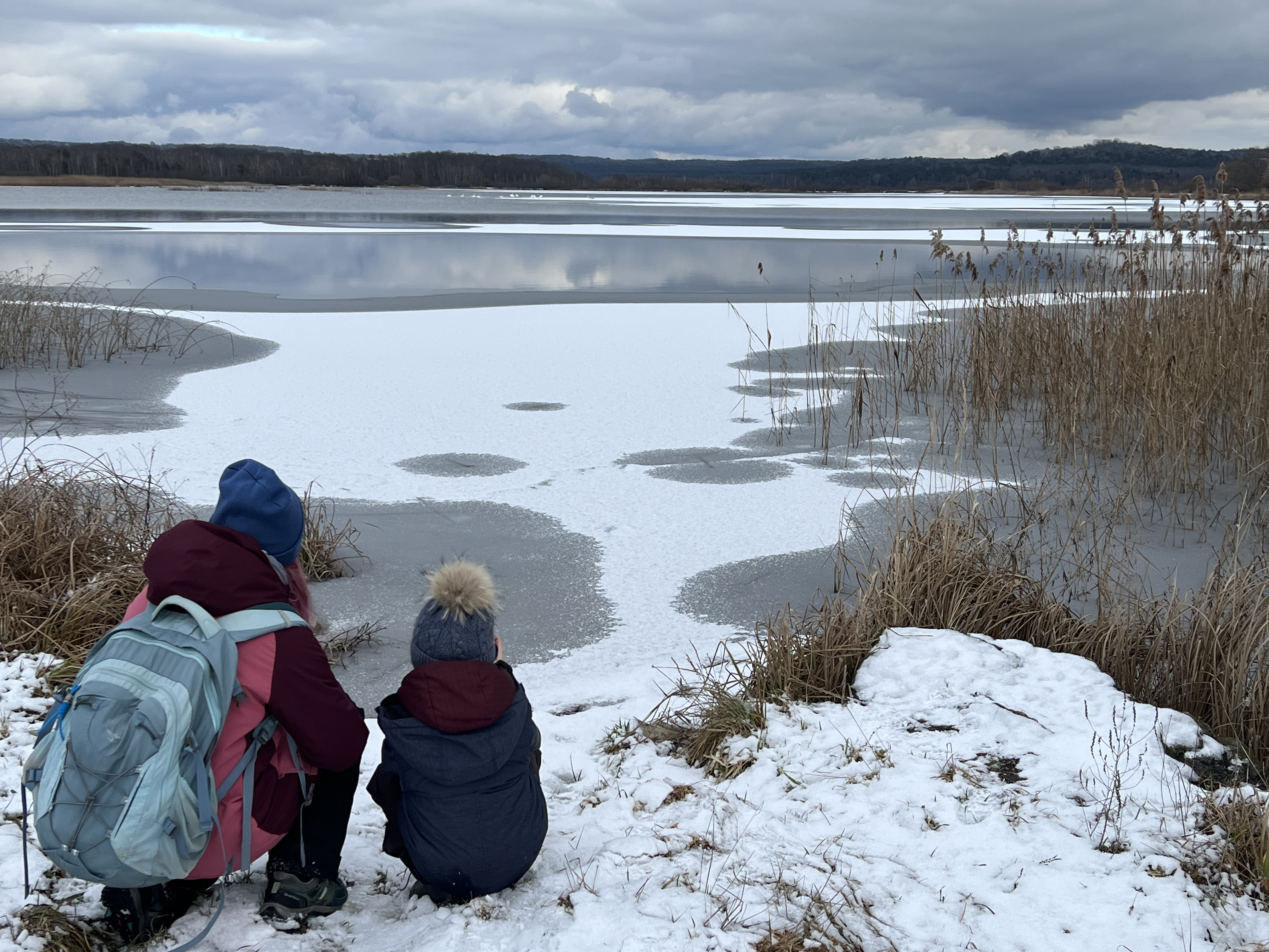 Екскурсія водно-болотними угіддями відбулася