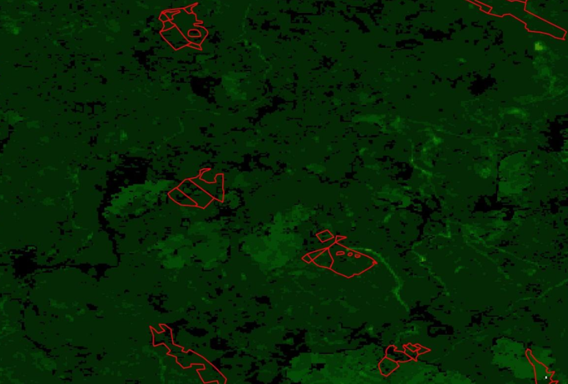 Monitoring of old growth forests* changes in the Ukrainian Carpathians for May 2022