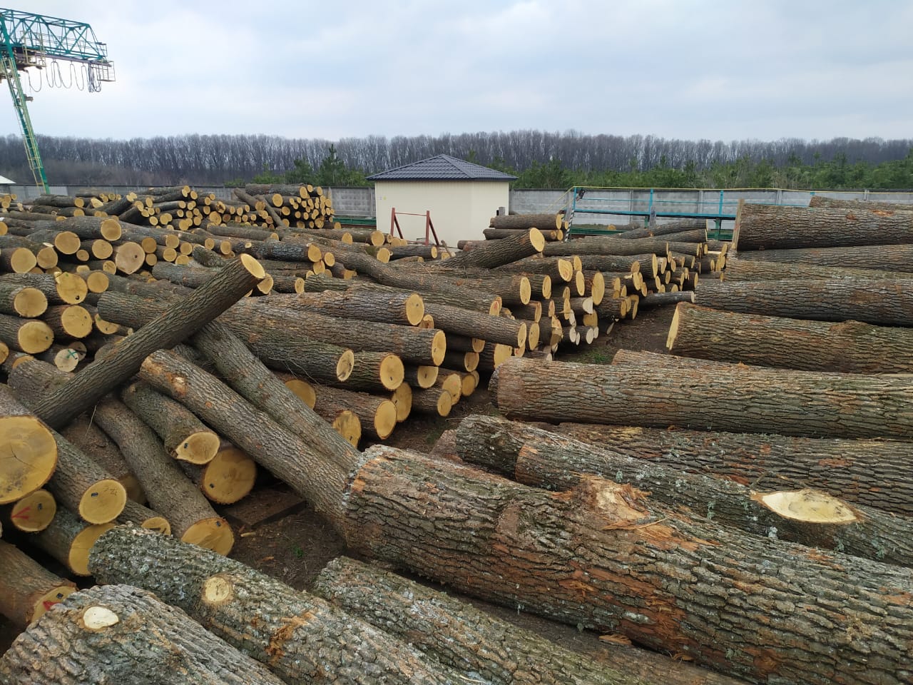 Public discussion «Ways to independently confirm the legality of timber harvesting in Ukraine»