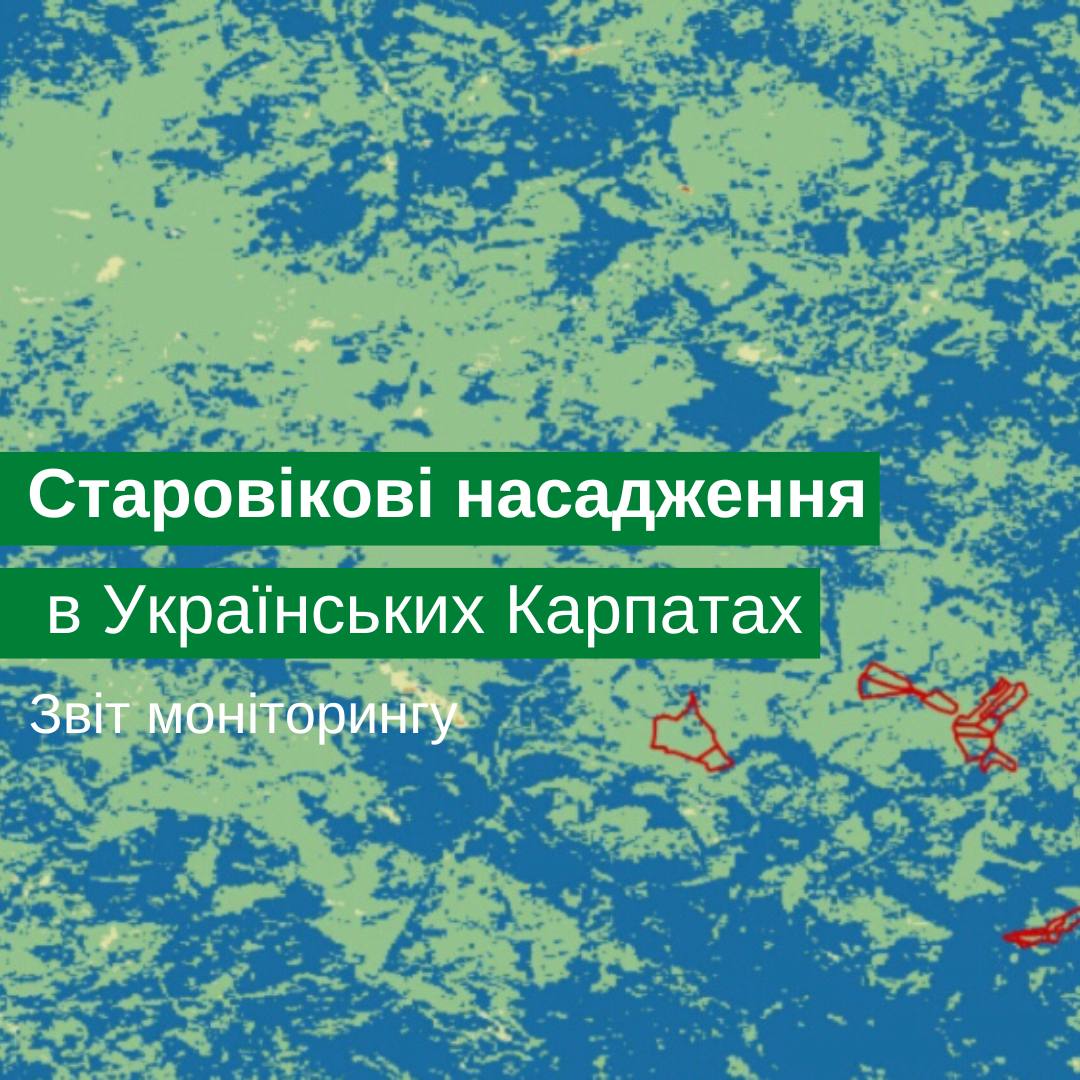 Monitoring report of ancient plantations in the Ukrainian Carpathians for October 2022.