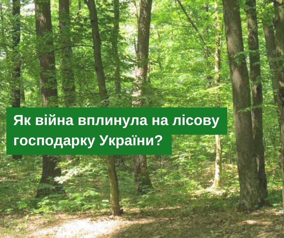 How has the war affected the forestry sector in Ukraine? Regular stakeholders perception