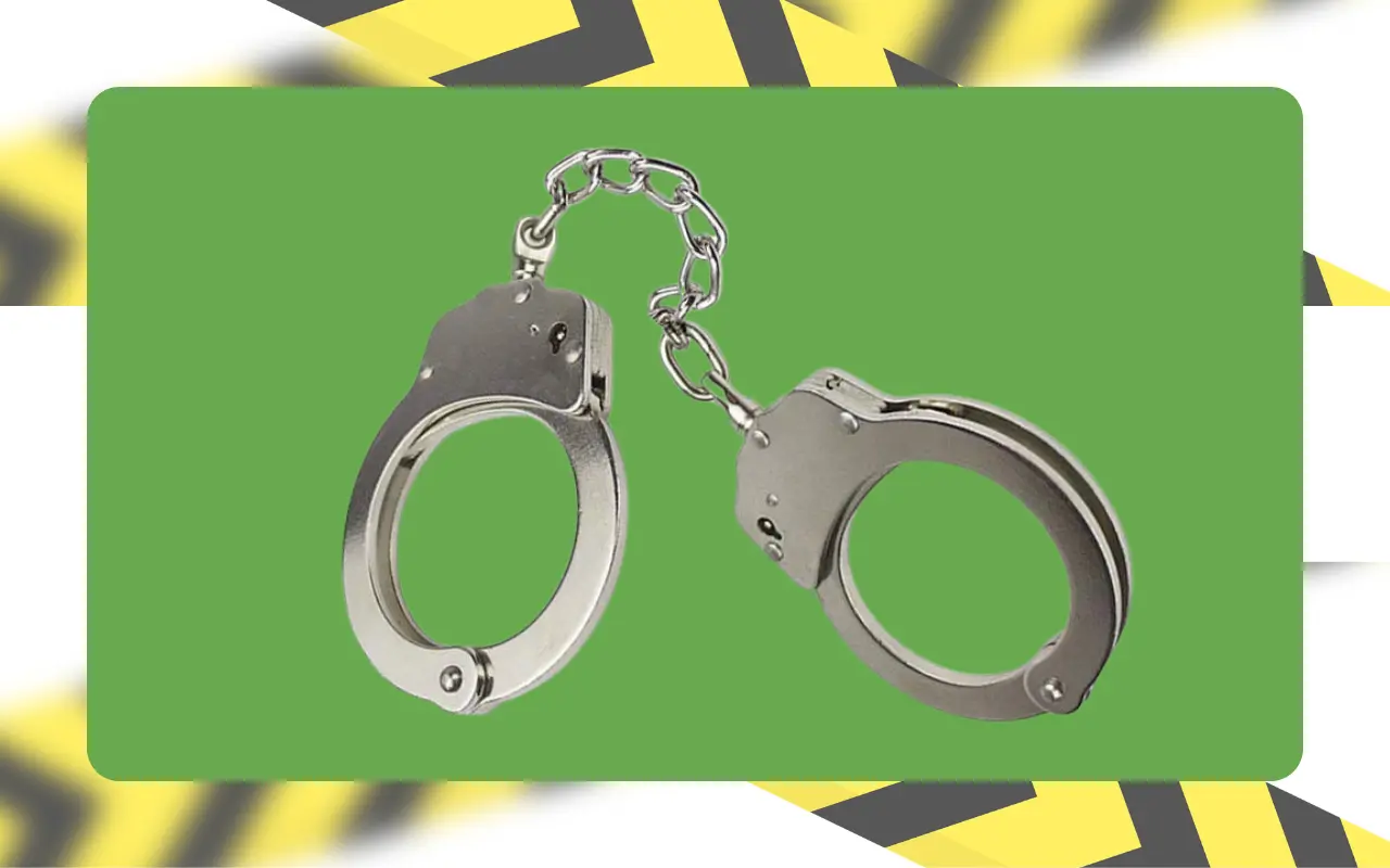 Liability for Illegal Logging in Protected Areas: Proposals for Decriminalization