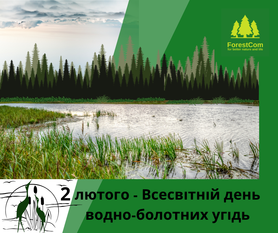 Запрошуємо на першу в цьому році серію вебінарів: "Як відрізнити нелегальні рубки від легальних"
