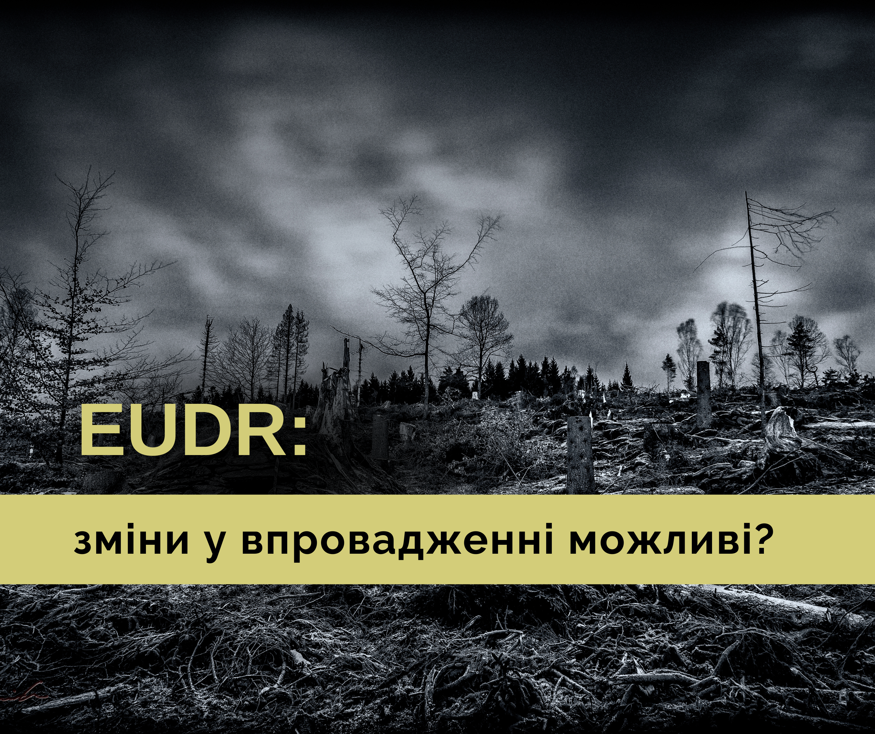 EUDR: changes in implementation