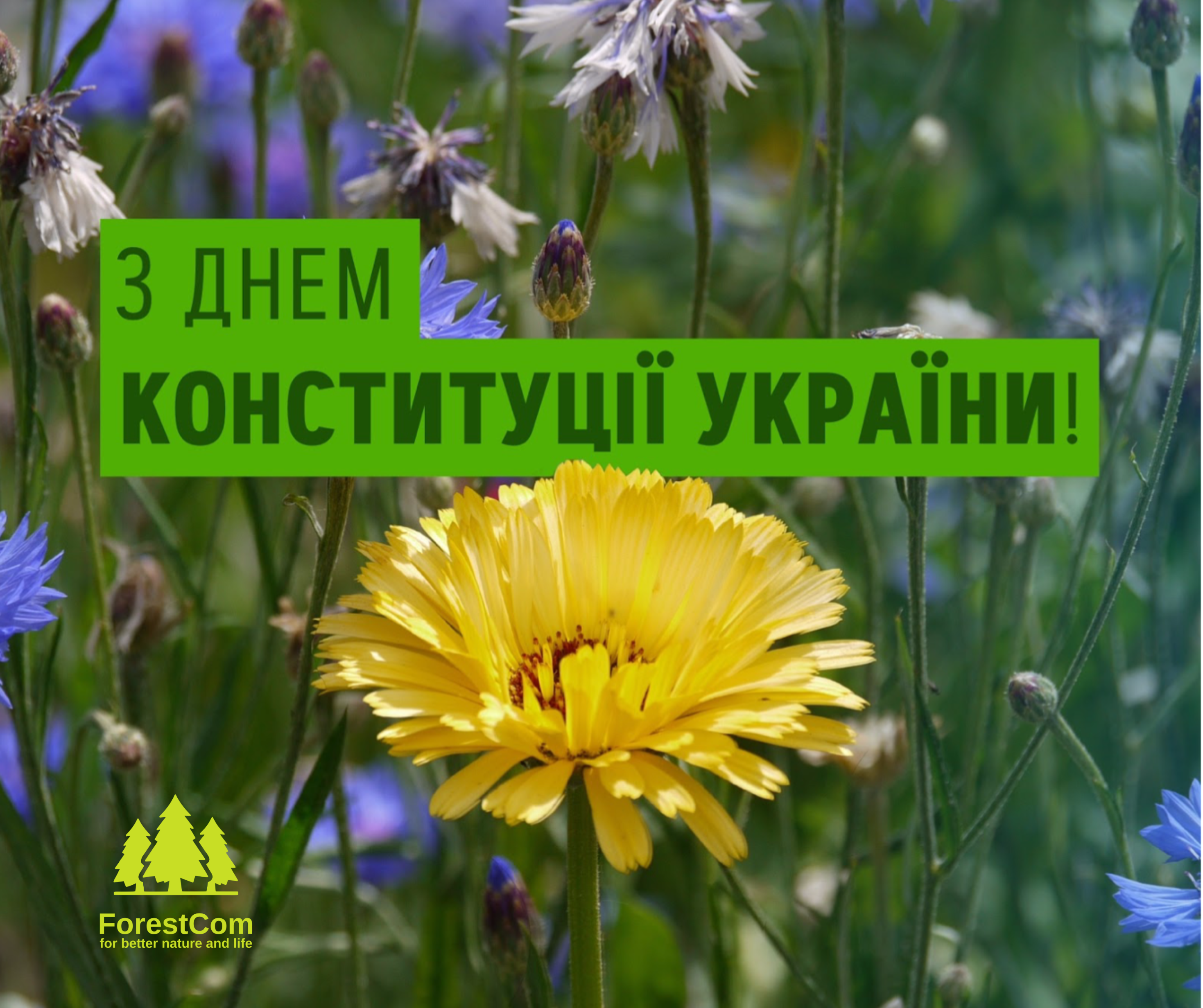 З Днем Конституції!