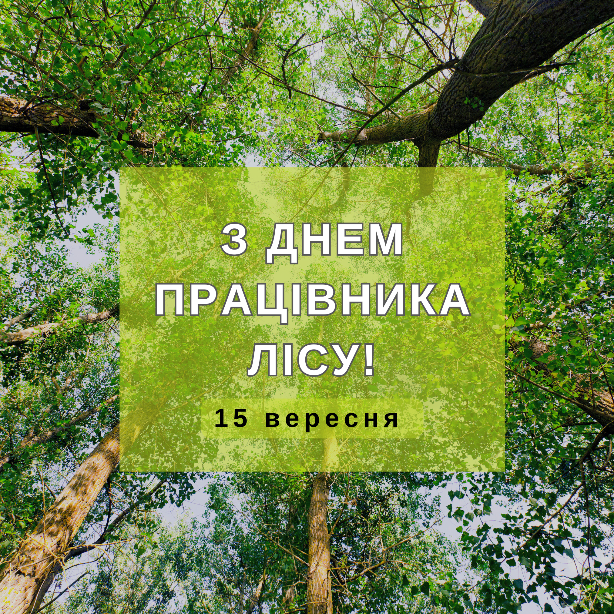 З Днем працівника лісу!