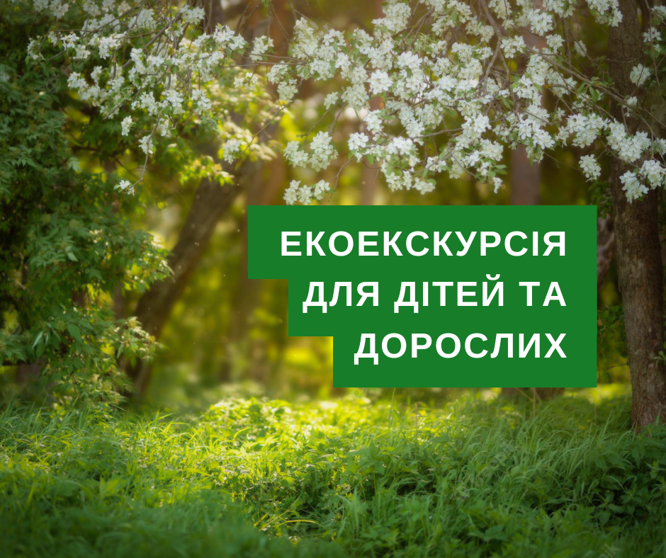 Екоекскурсія "Оксамитовий травень у діброві"