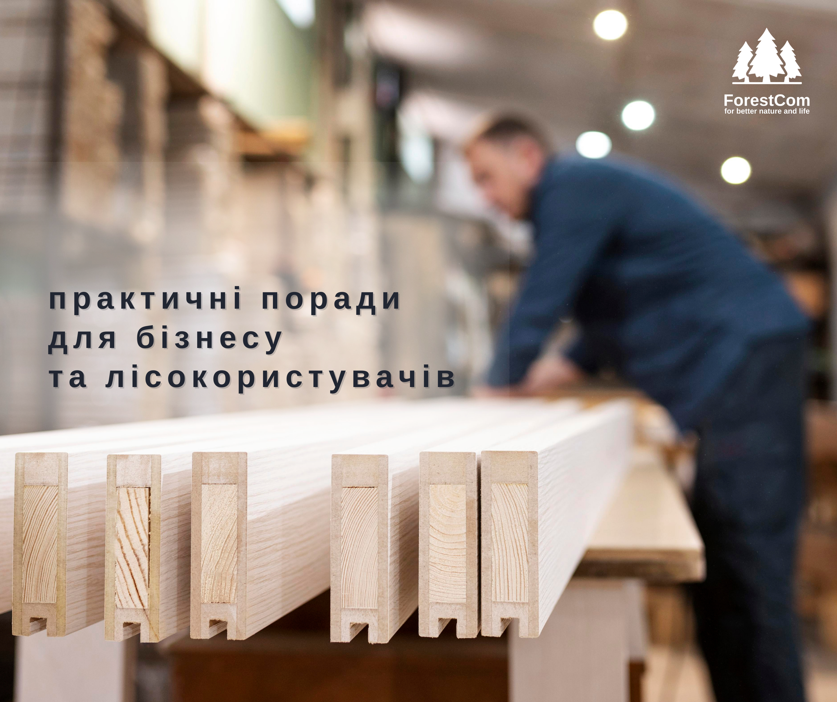 Unlocking Compliance: Navigating EU Timber and Deforestation Regulations for Ukrainian Woodworking Businesses 