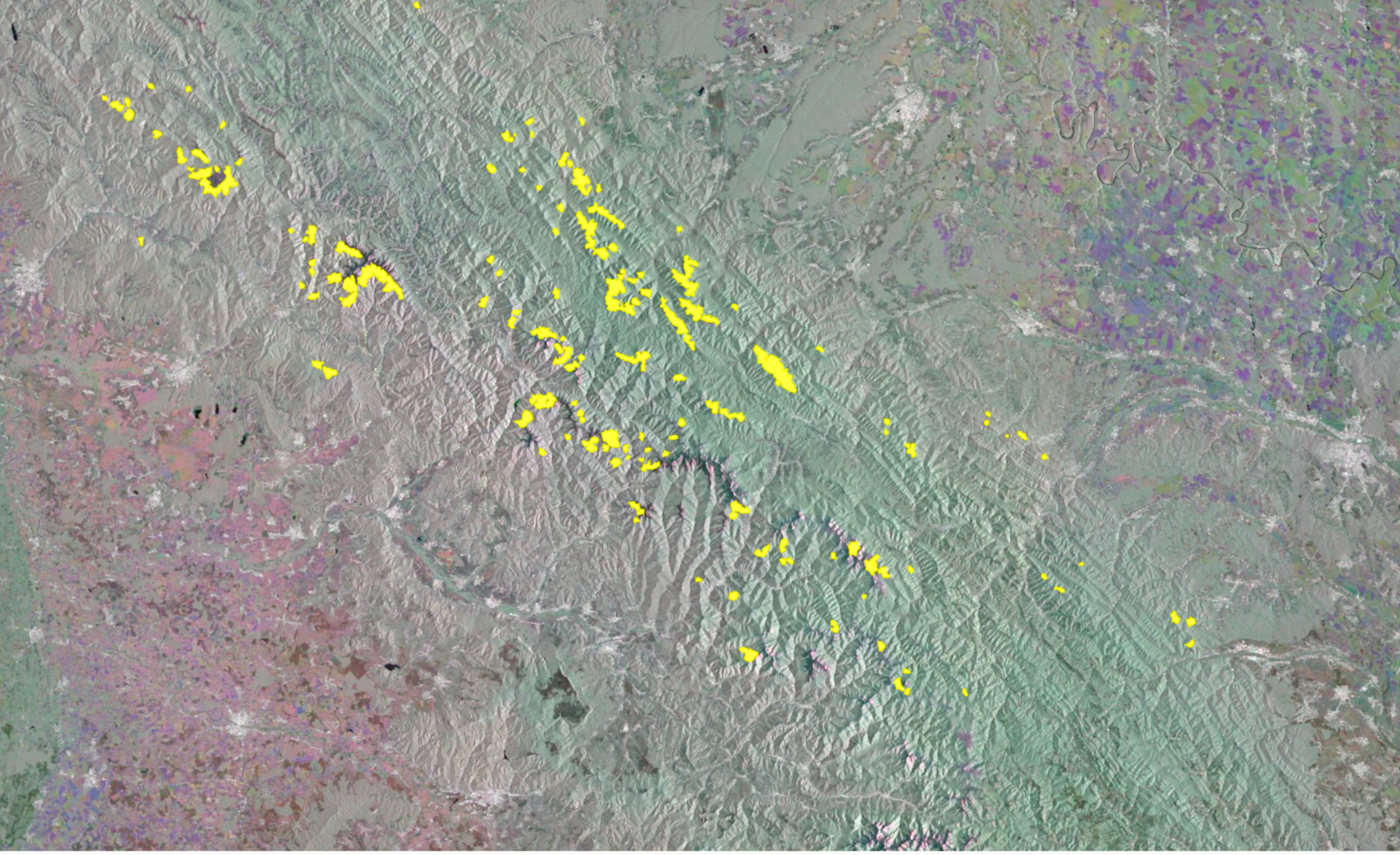 Monitoring report of old growth forests changes in the Ukrainian Carpathians for December 2023