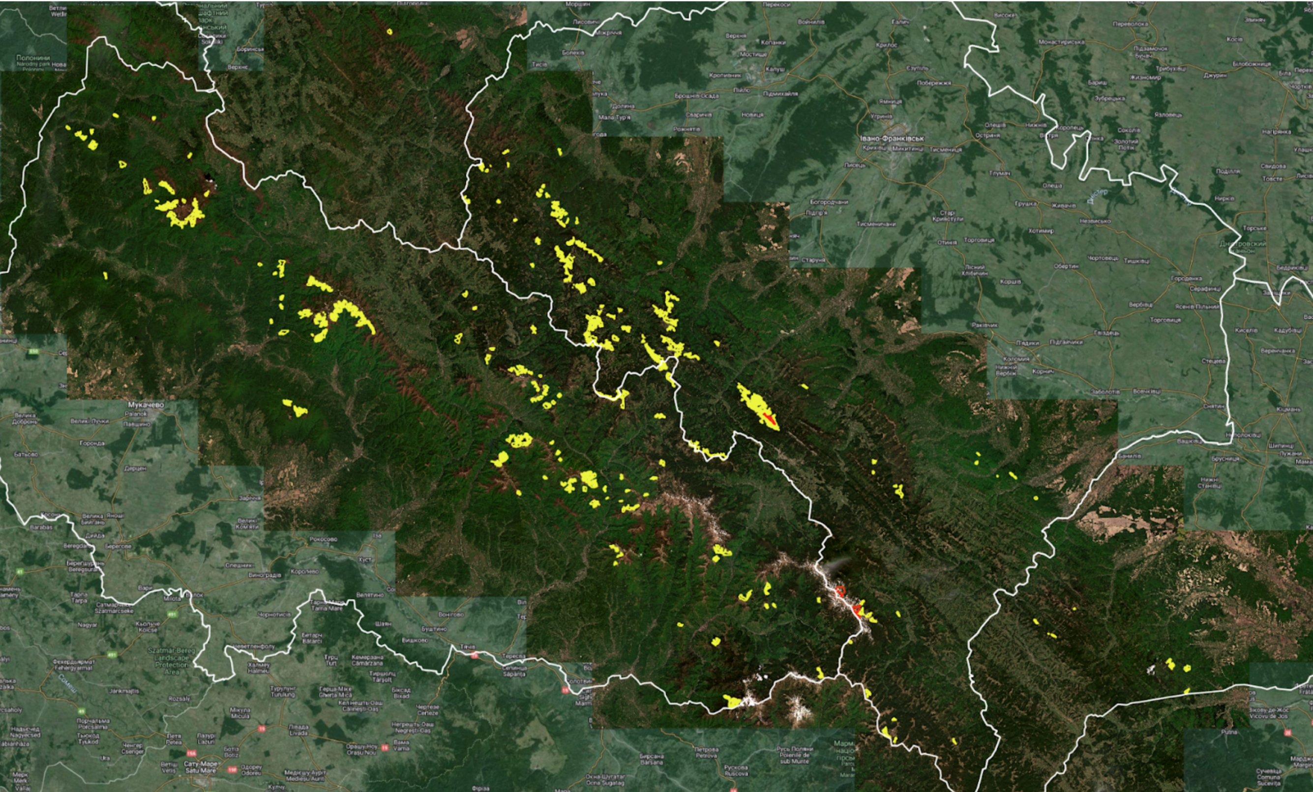 Monitoring report of old growth forests changes in the Ukrainian Carpathians for May 2024