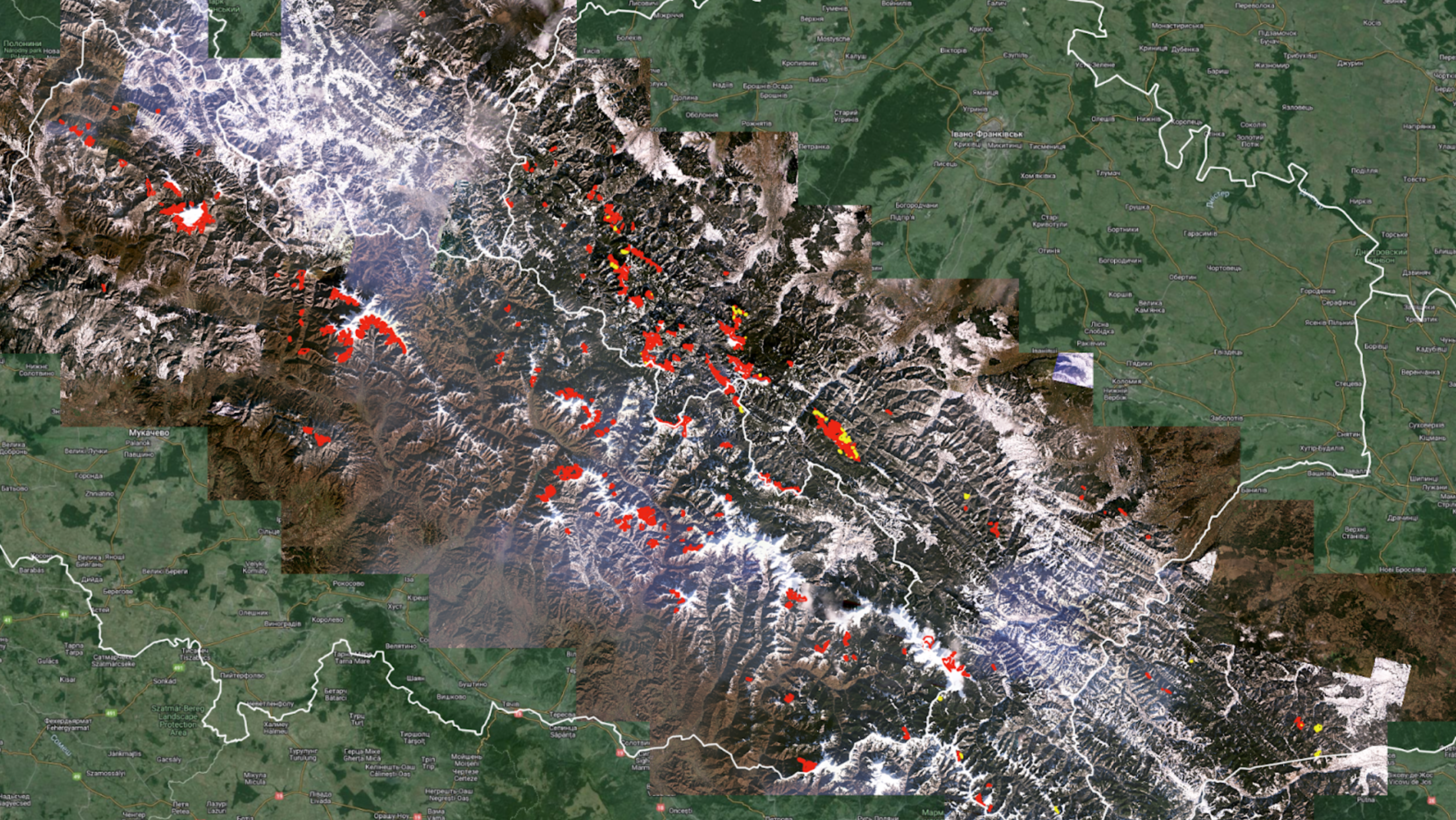 Are there changes in the old growth forests of the Carpathians: remote monitoring report for January 2024.