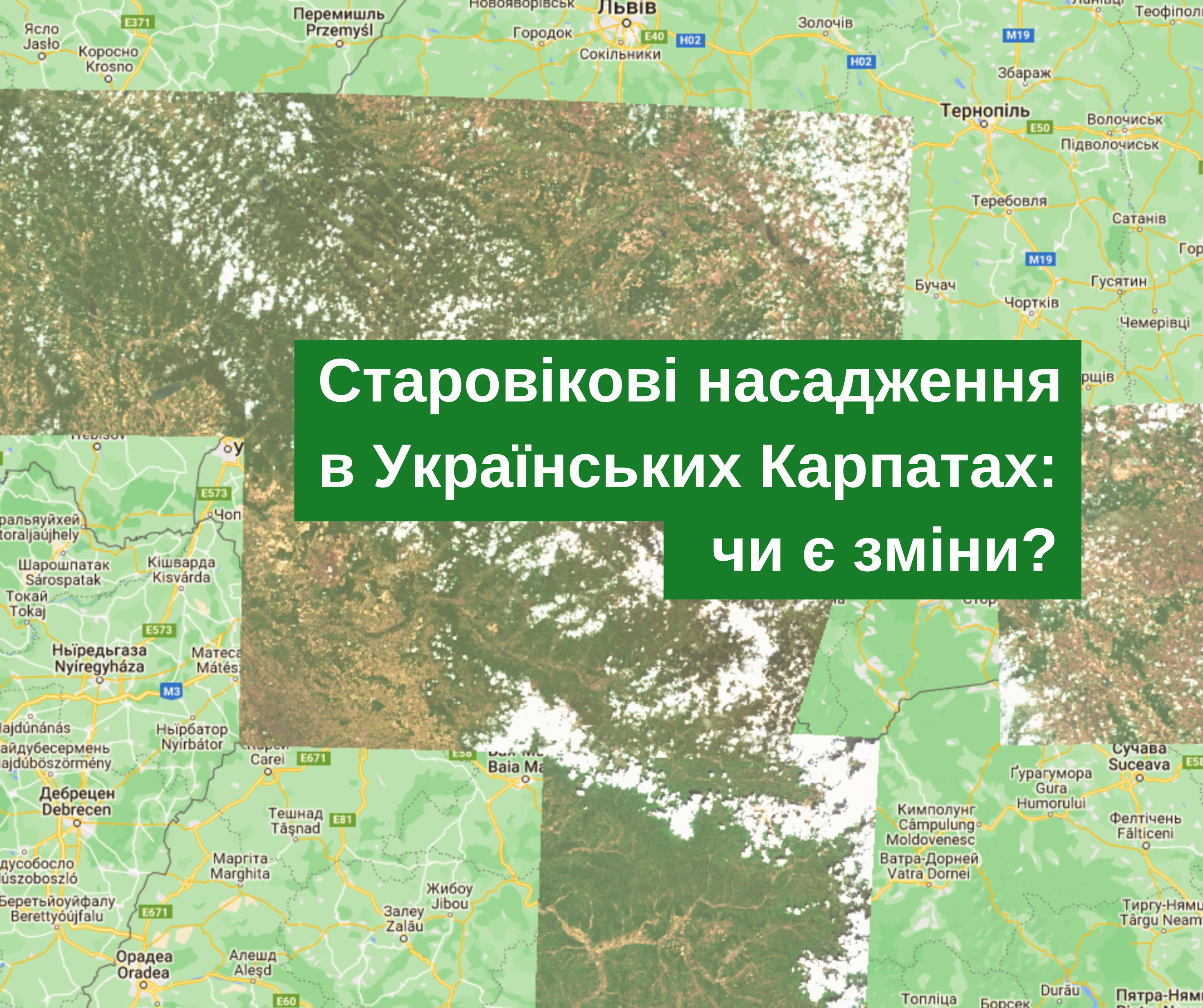 Monitoring report of old growth forests changes in the Ukrainian Carpathians for May 2023