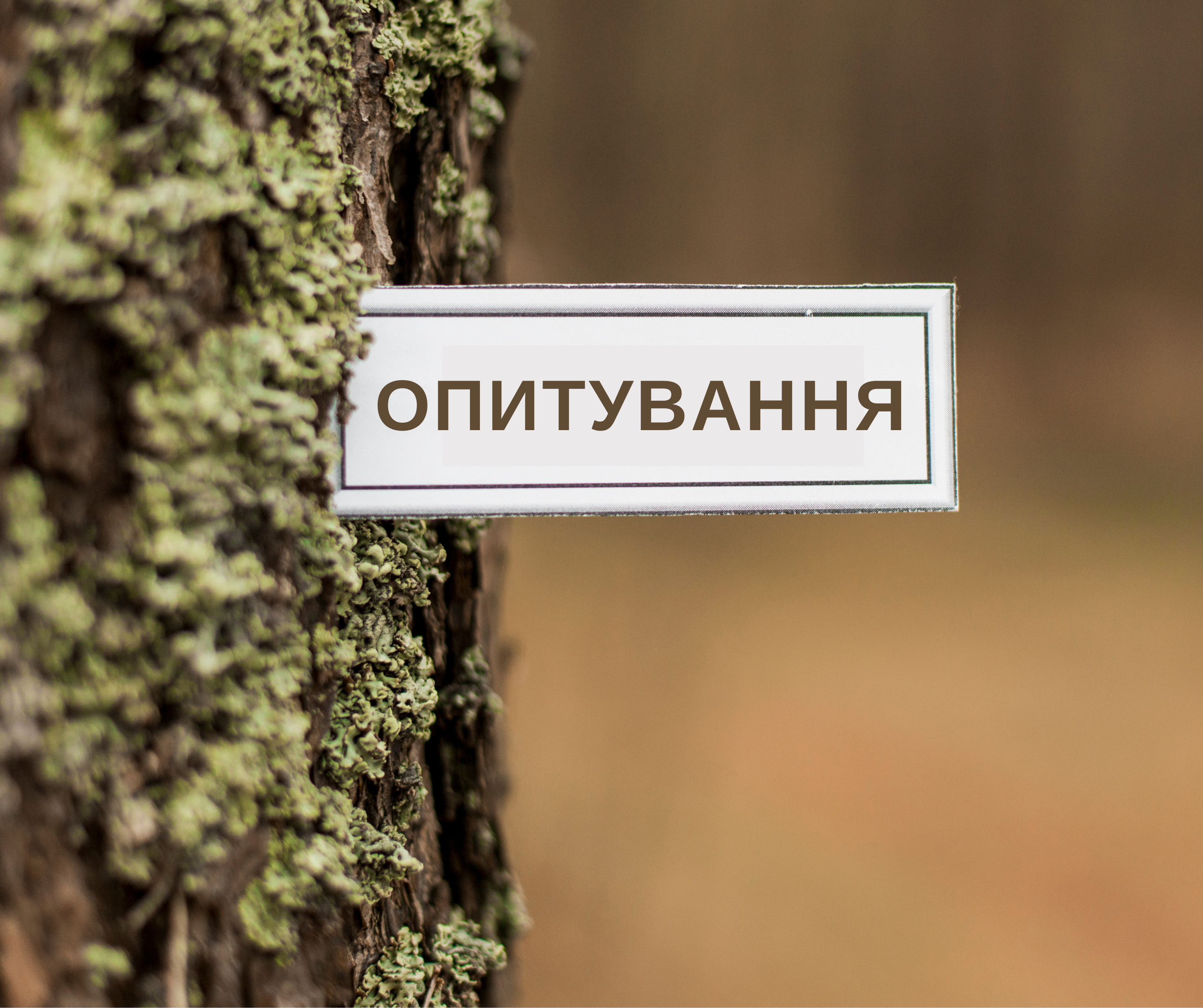 Опитування лісокористувачів про вплив війни на лісове господарство