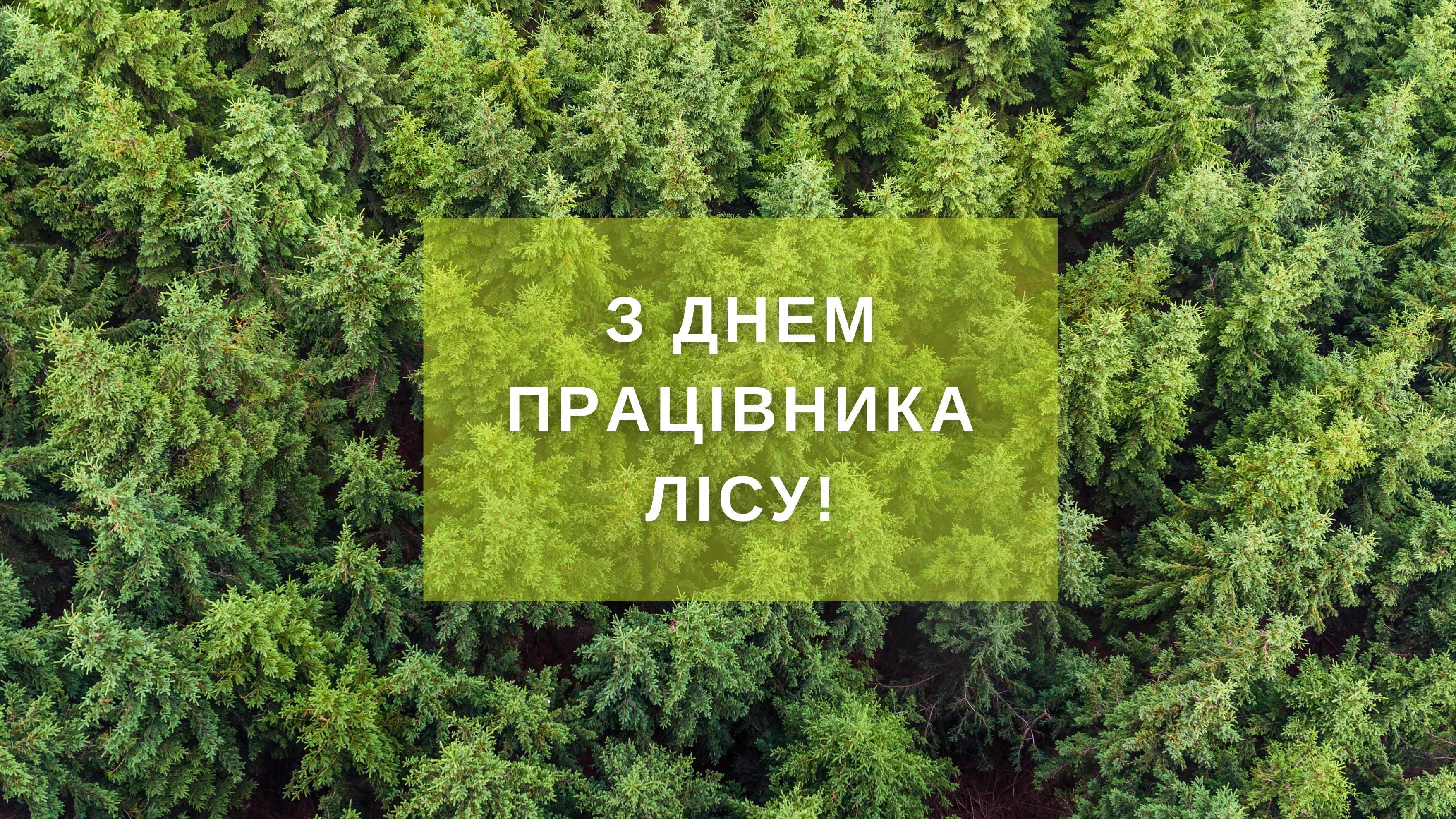 З Днем працівника лісу!