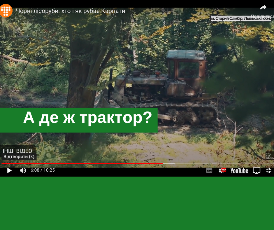 Експерти ГО “ЛІіС” свідчили у суді про значну незаконну вирубку лісу