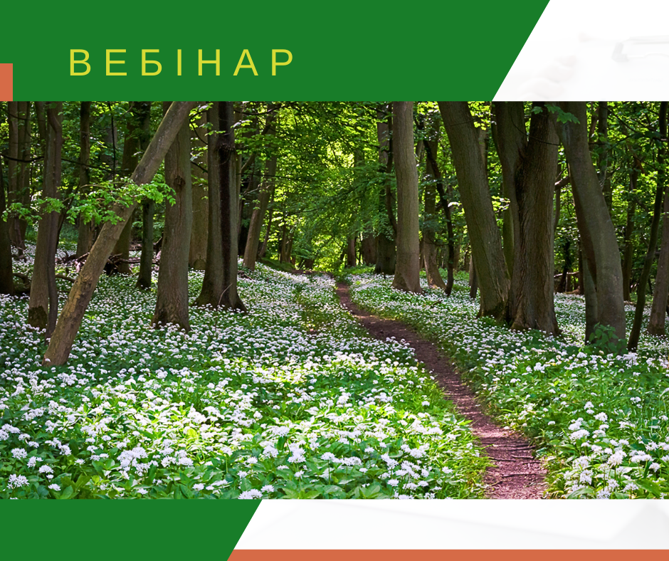 Вебінар “Охорона лікарських лісових рослин, або Вся правда про черемшу”