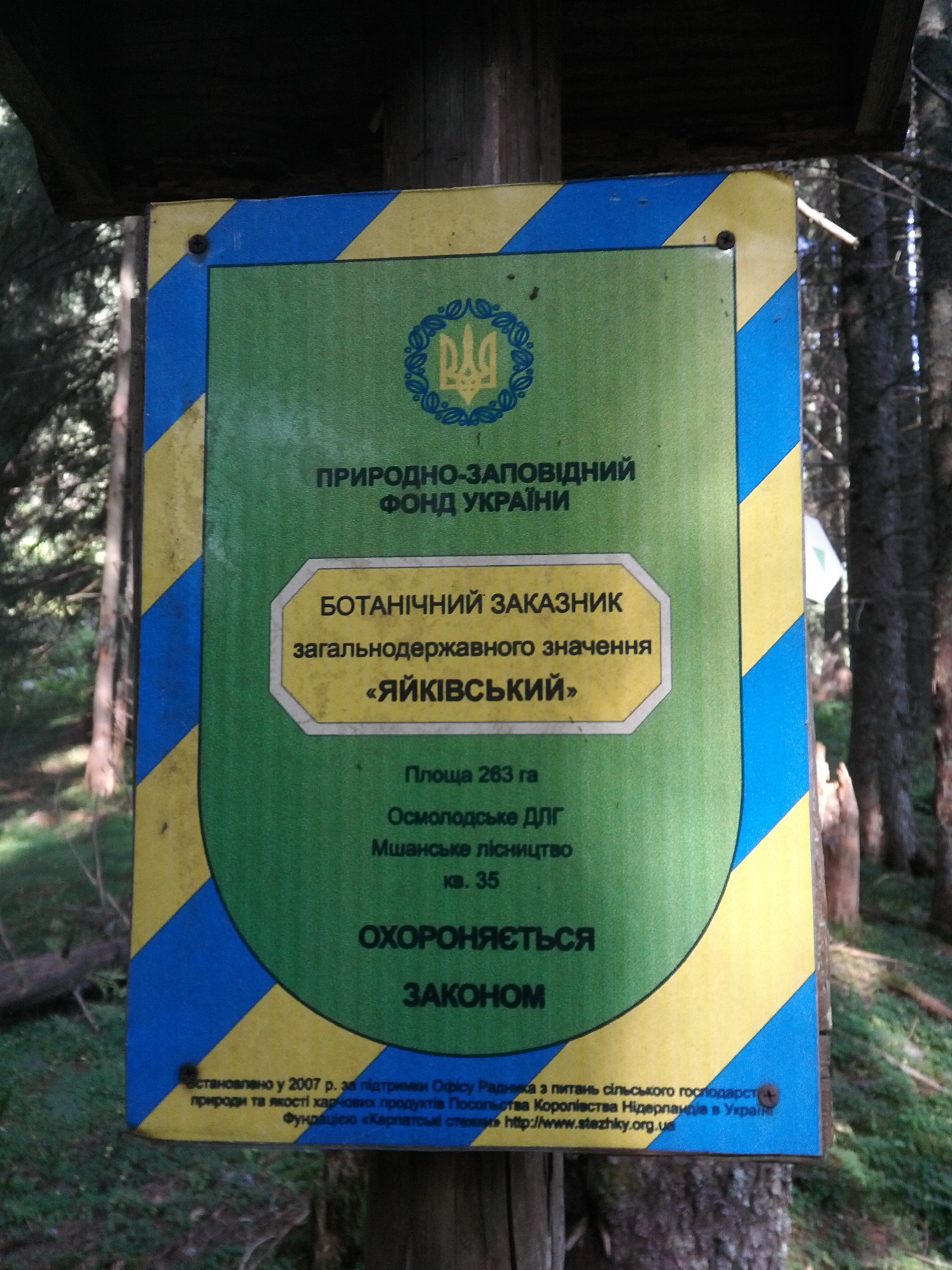 Forest Monitoring on Valuable Territories: An Update on the Yaykivsky Botanical Reserve